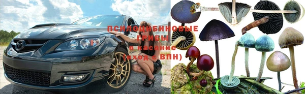 винт Нефтегорск
