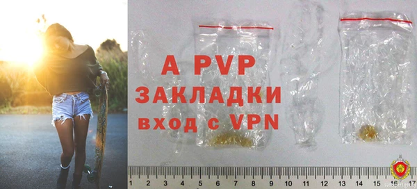 шишки Беслан