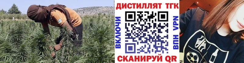 наркотики  Великий Устюг  Дистиллят ТГК THC oil 