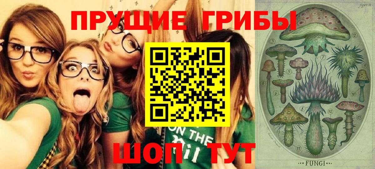 Галлюциногенные грибы Psilocybine cubensis  Вход с VPN  Великий Устюг 