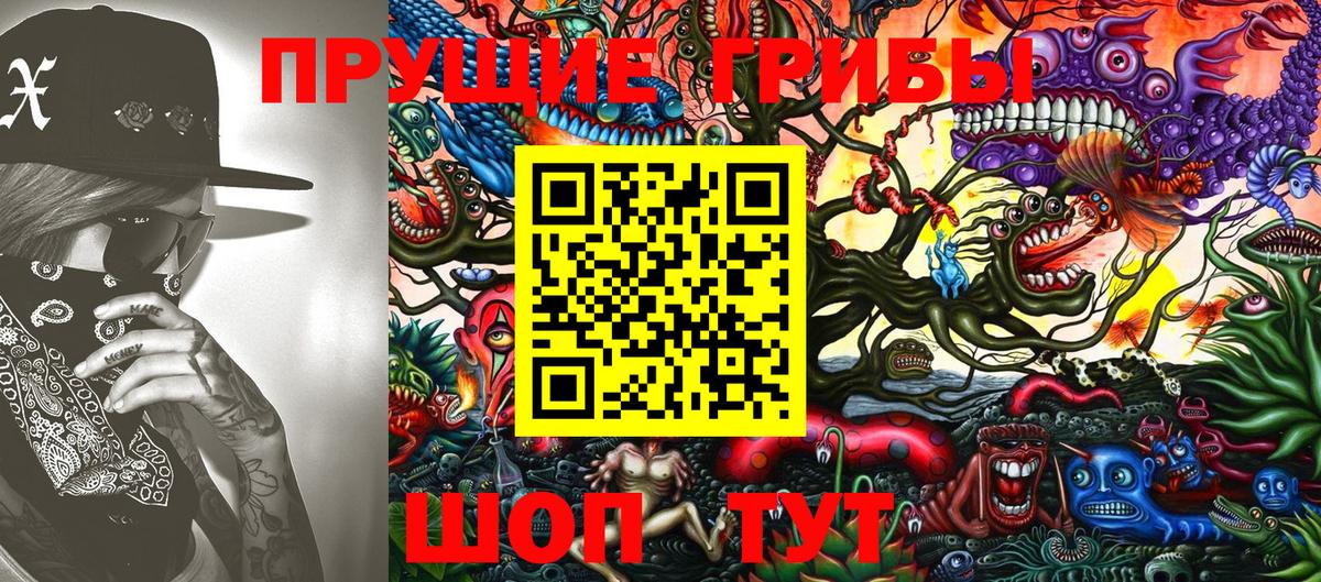 Псилоцибиновые грибы GOLDEN TEACHER Великий Устюг