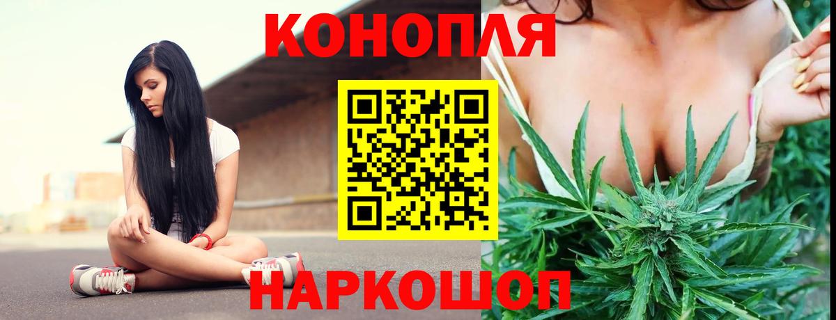 Конопля OG Kush Великий Устюг